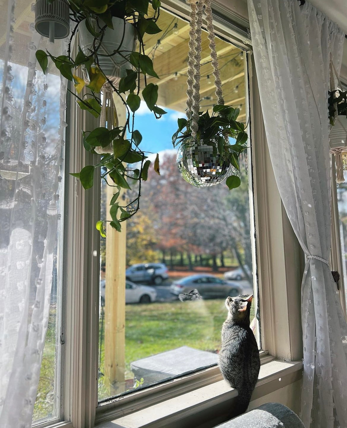 Mirror Ball Macrame Planter