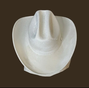 Yellowstone Cowboy Style Hat